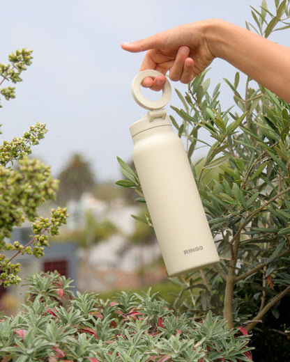 Ringo Pro XL (950ml) Ivoire